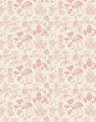 Store intérieur Champignons dessinés