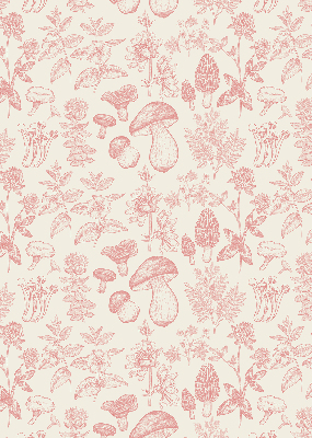 Store intérieur Champignons dessinés