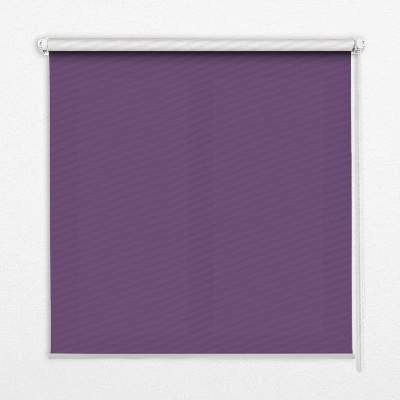 Store intérieur Violet