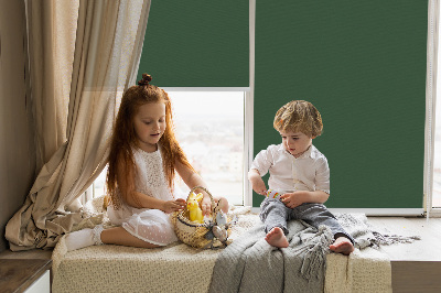 Store enrouleur Vert