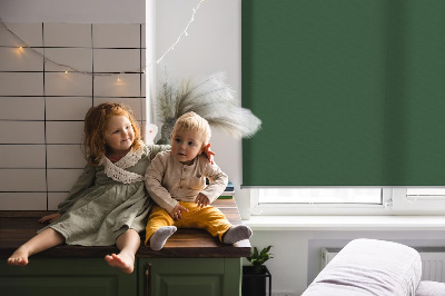 Store enrouleur Vert