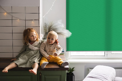 Store intérieur Vert