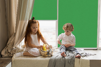 Store enrouleur Vert