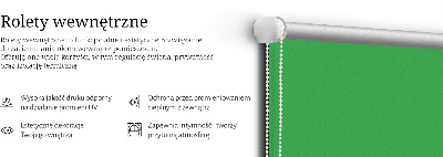 Store enrouleur Vert