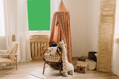 Store enrouleur Vert