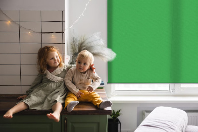 Store enrouleur Vert