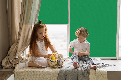 Store intérieur Vert