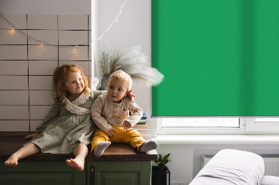 Store intérieur Vert