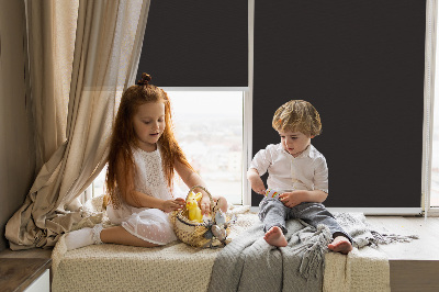 Store enrouleur Noir