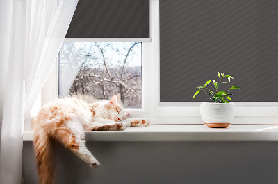 Store enrouleur Noir