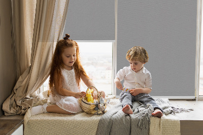 Store enrouleur Gris