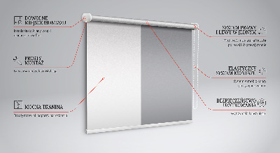 Store enrouleur Gris