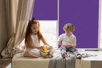 Store intérieur Violet