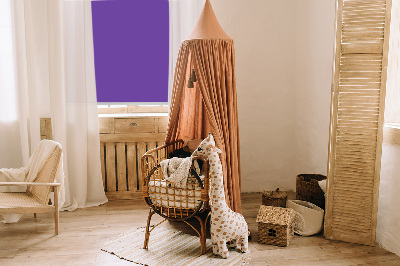 Store intérieur Violet