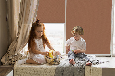 Store enrouleur Brun