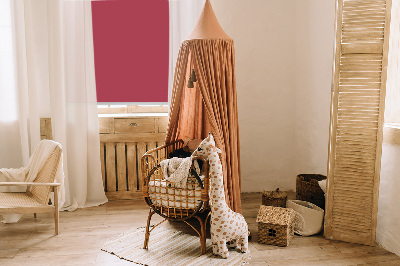 Store enrouleur Bordeaux