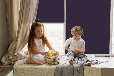 Store enrouleur Noir