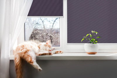 Store enrouleur Noir