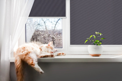 Store intérieur Noir