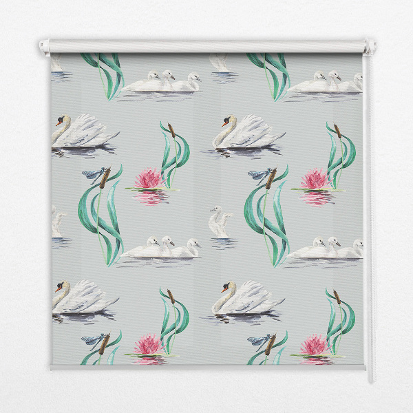 Store intérieur Cygnes et canards