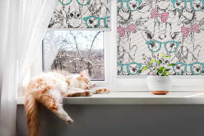 Store intérieur Girafe à lunettes