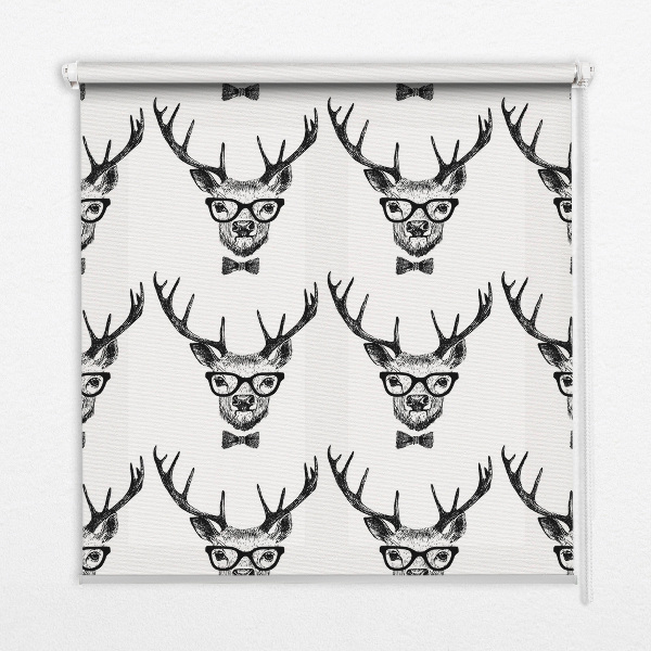 Store enrouleur Renne avec des lunettes