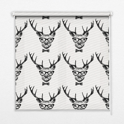 Store enrouleur Renne avec des lunettes