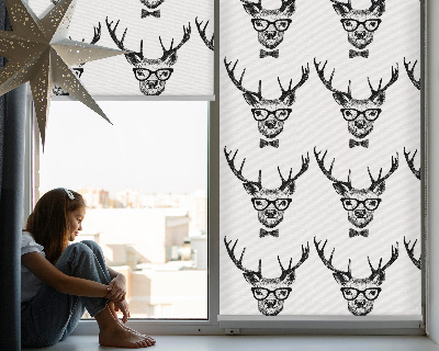 Store enrouleur Renne avec des lunettes