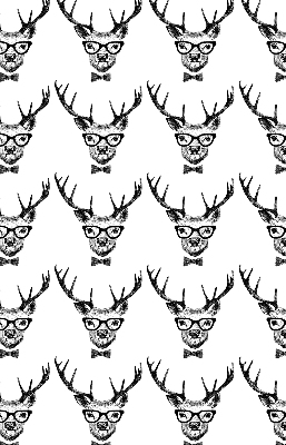 Store enrouleur Renne avec des lunettes