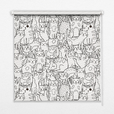 Store intérieur Chats dessinés