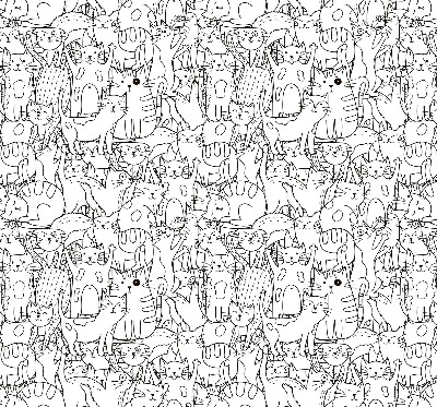 Store intérieur Chats dessinés