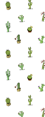 Store intérieur Cactus