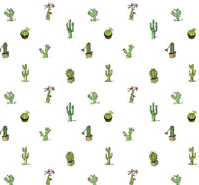 Store intérieur Cactus