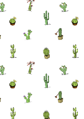 Store intérieur Cactus