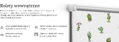 Store intérieur Cactus