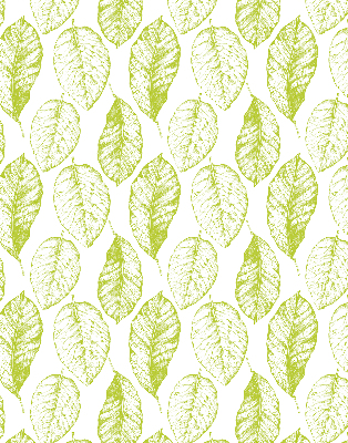 Store intérieur Feuilles de citron vert