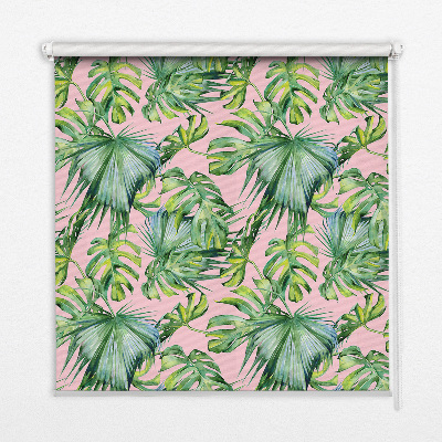 Store intérieur Variétés de feuilles tropicales