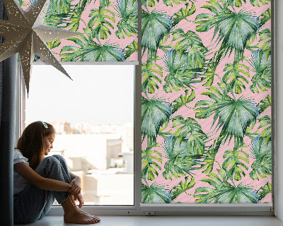 Store intérieur Variétés de feuilles tropicales