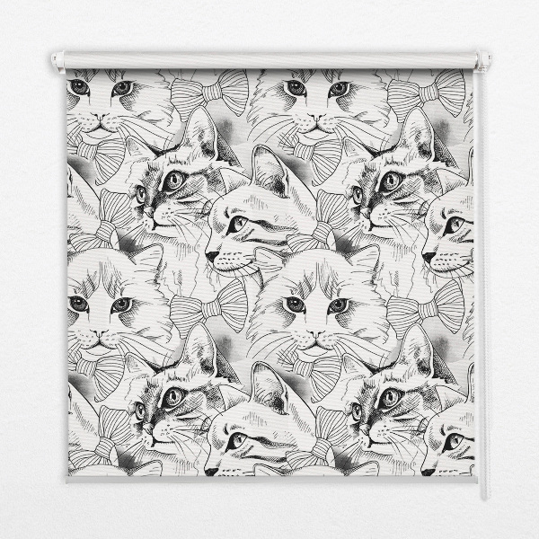 Store intérieur Chats dessinés