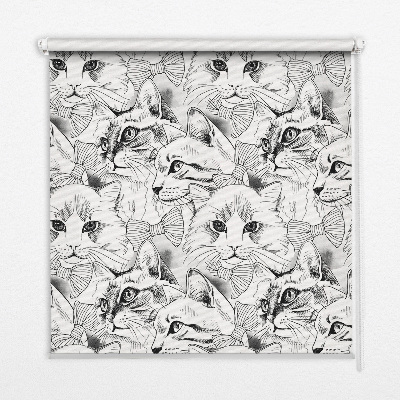 Store intérieur Chats dessinés