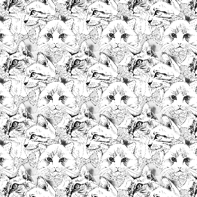 Store intérieur Chats dessinés