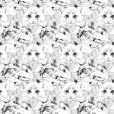 Store intérieur Chats dessinés