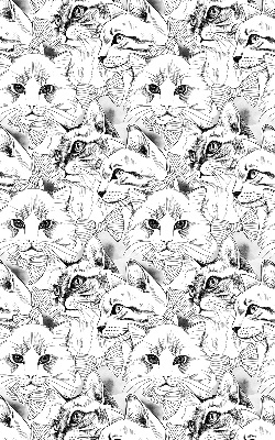 Store intérieur Chats dessinés