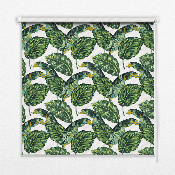 Store intérieur Feuilles exotiques