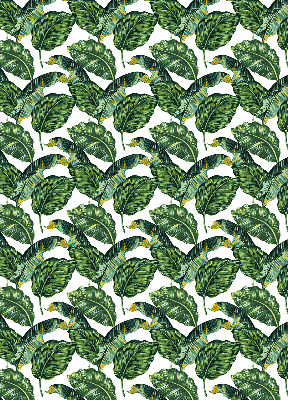 Store intérieur Feuilles exotiques