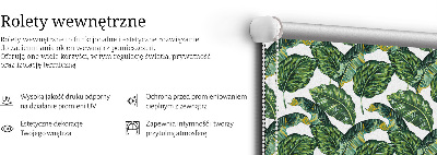 Store intérieur Feuilles exotiques