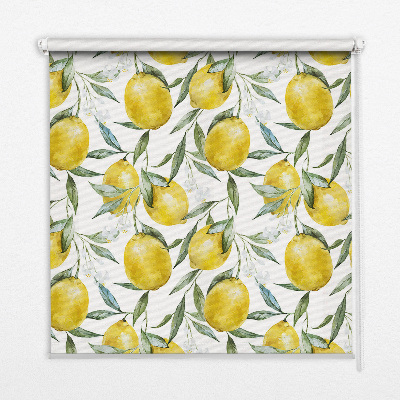 Store intérieur Citrons