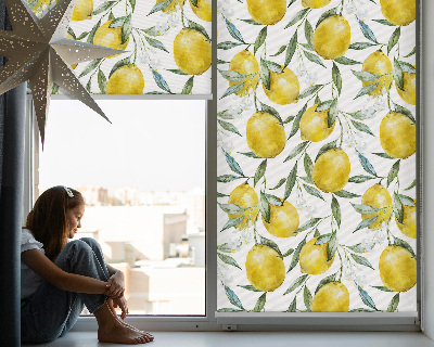 Store intérieur Citrons