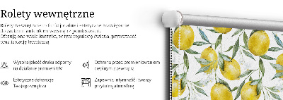 Store intérieur Citrons