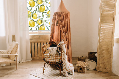 Store intérieur Citrons